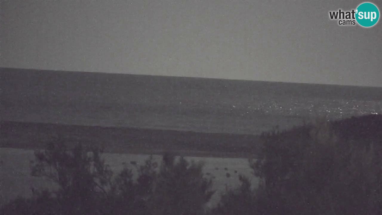 Webcam Chia – Live View of Su Giudeu Beach