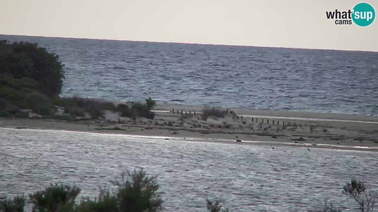 Webcam Chia – Live View of Su Giudeu Beach