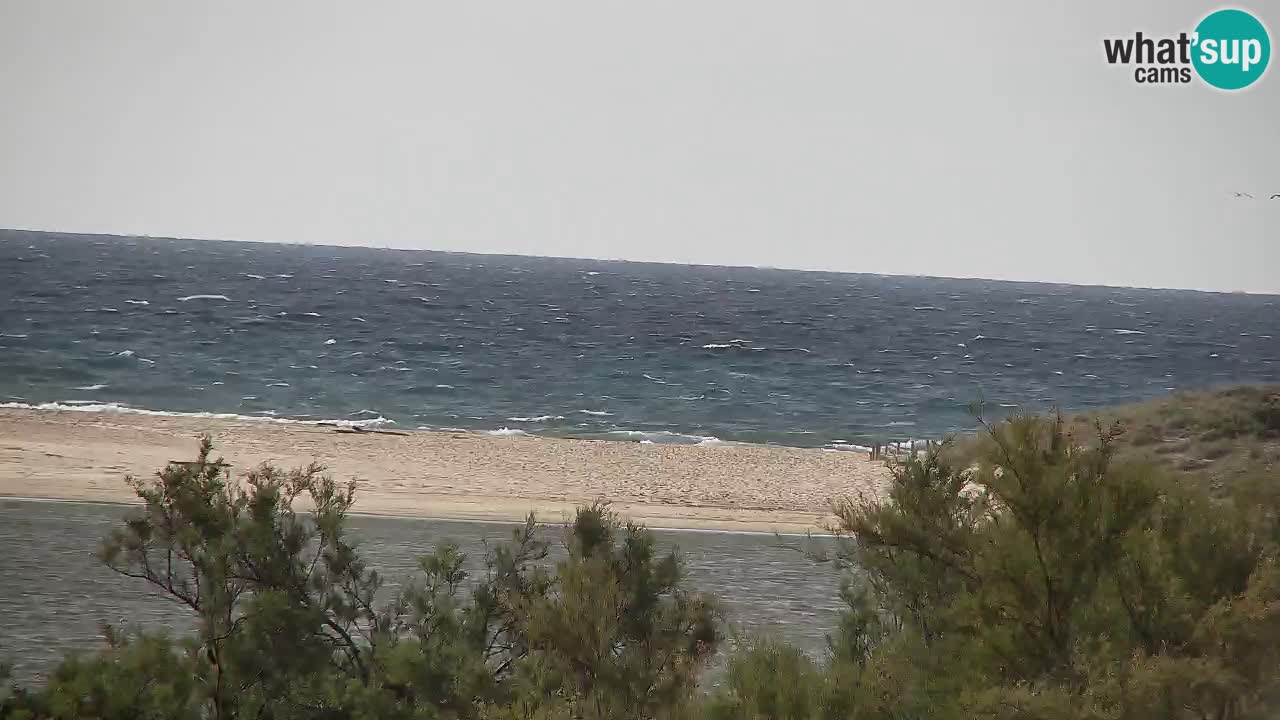 Webcam Chia – Vue en direct de la plage Su Giudeu