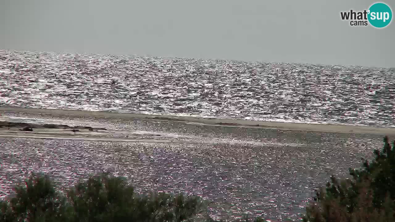 Webcam Chia – Vue en direct de la plage Su Giudeu