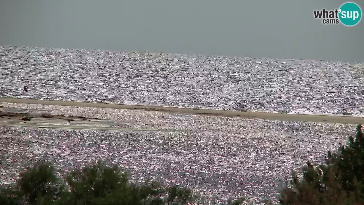 Webcam Chia – Vue en direct de la plage Su Giudeu