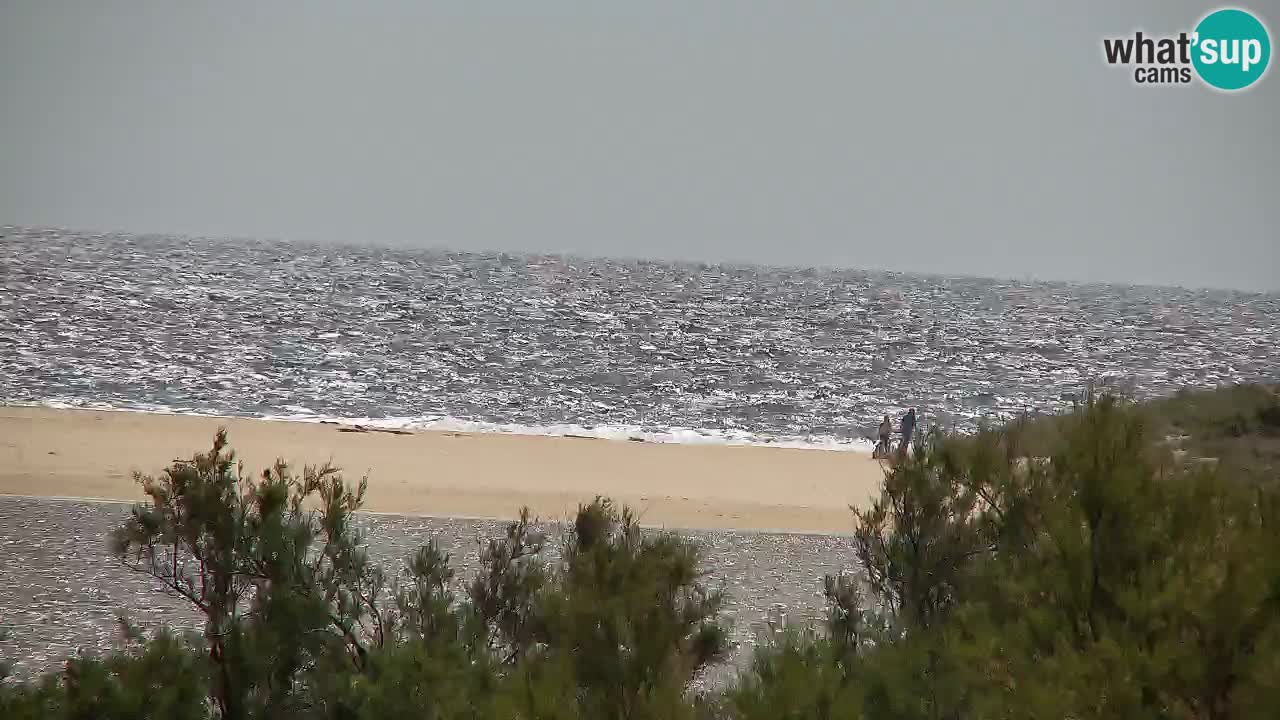Webcam Chia – Live View of Su Giudeu Beach