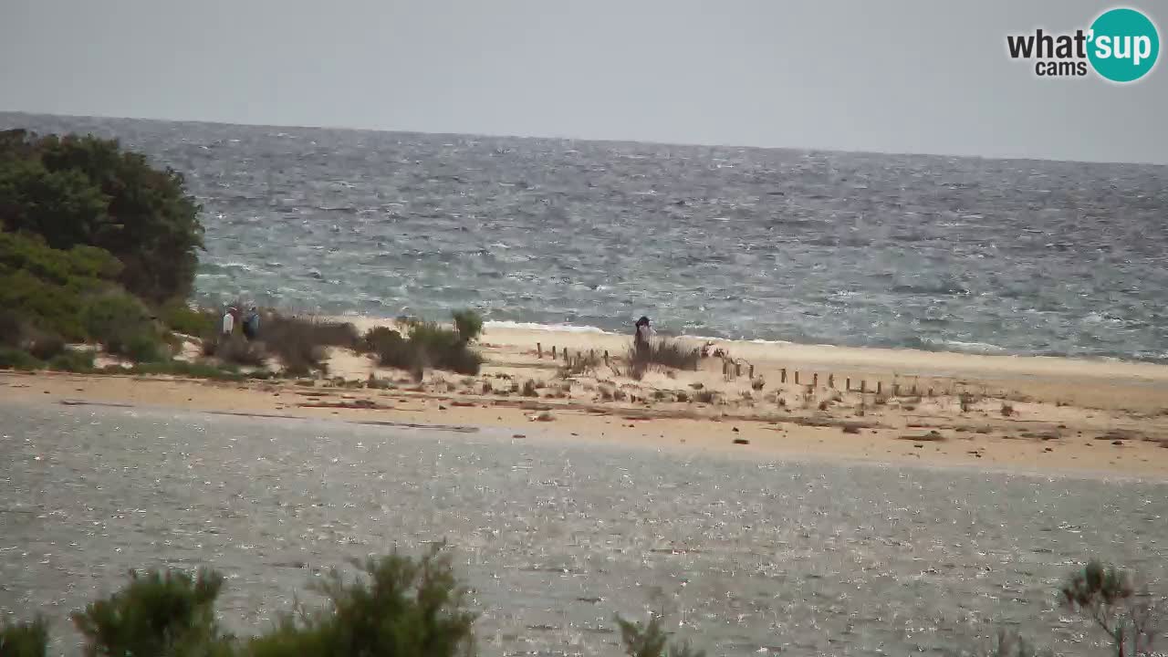 Webcam Chia – Live View of Su Giudeu Beach