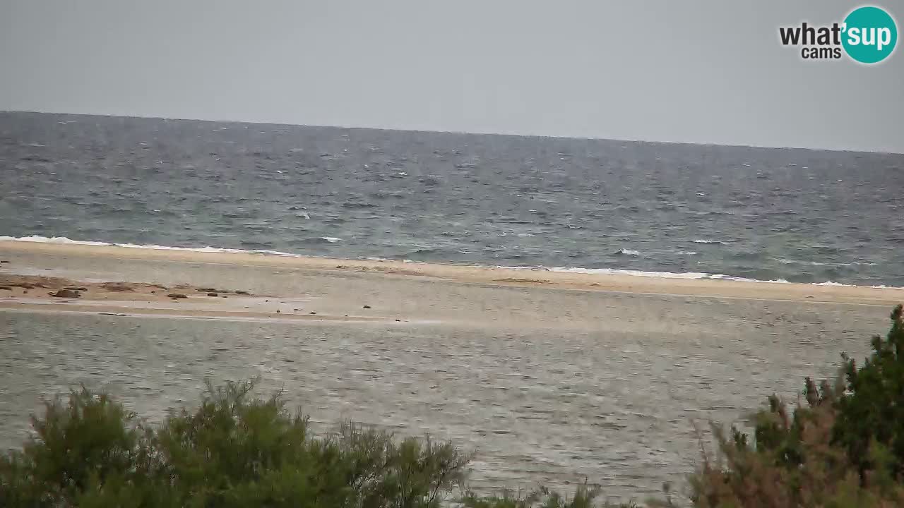 Webcam Chia – Live View of Su Giudeu Beach