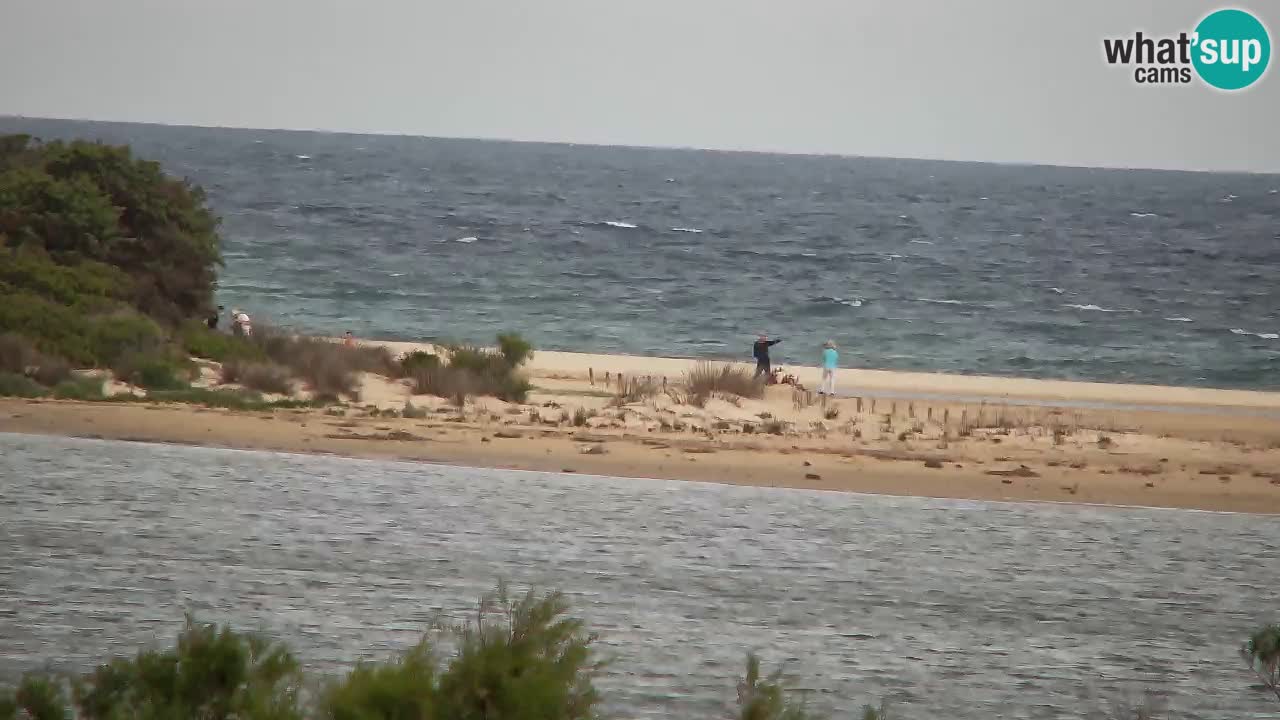 Webcam Chia – Live View of Su Giudeu Beach