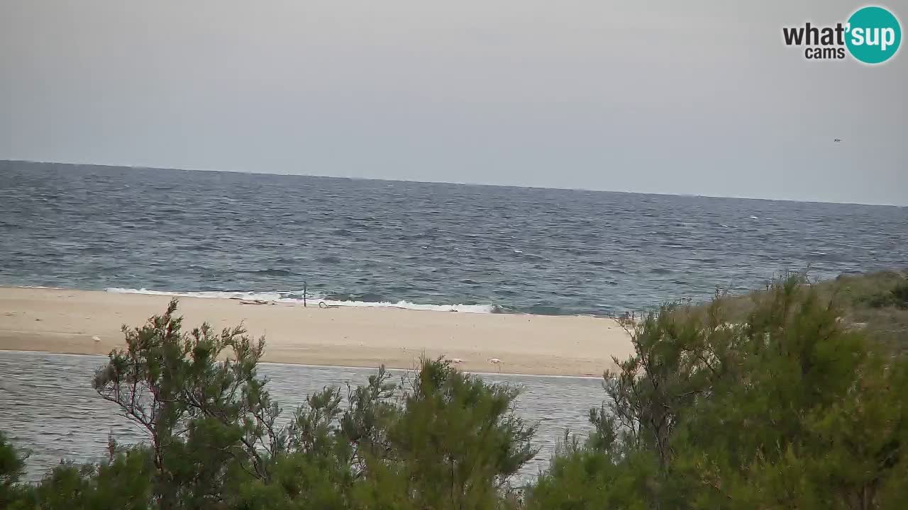 Webcam Chia – Live View of Su Giudeu Beach