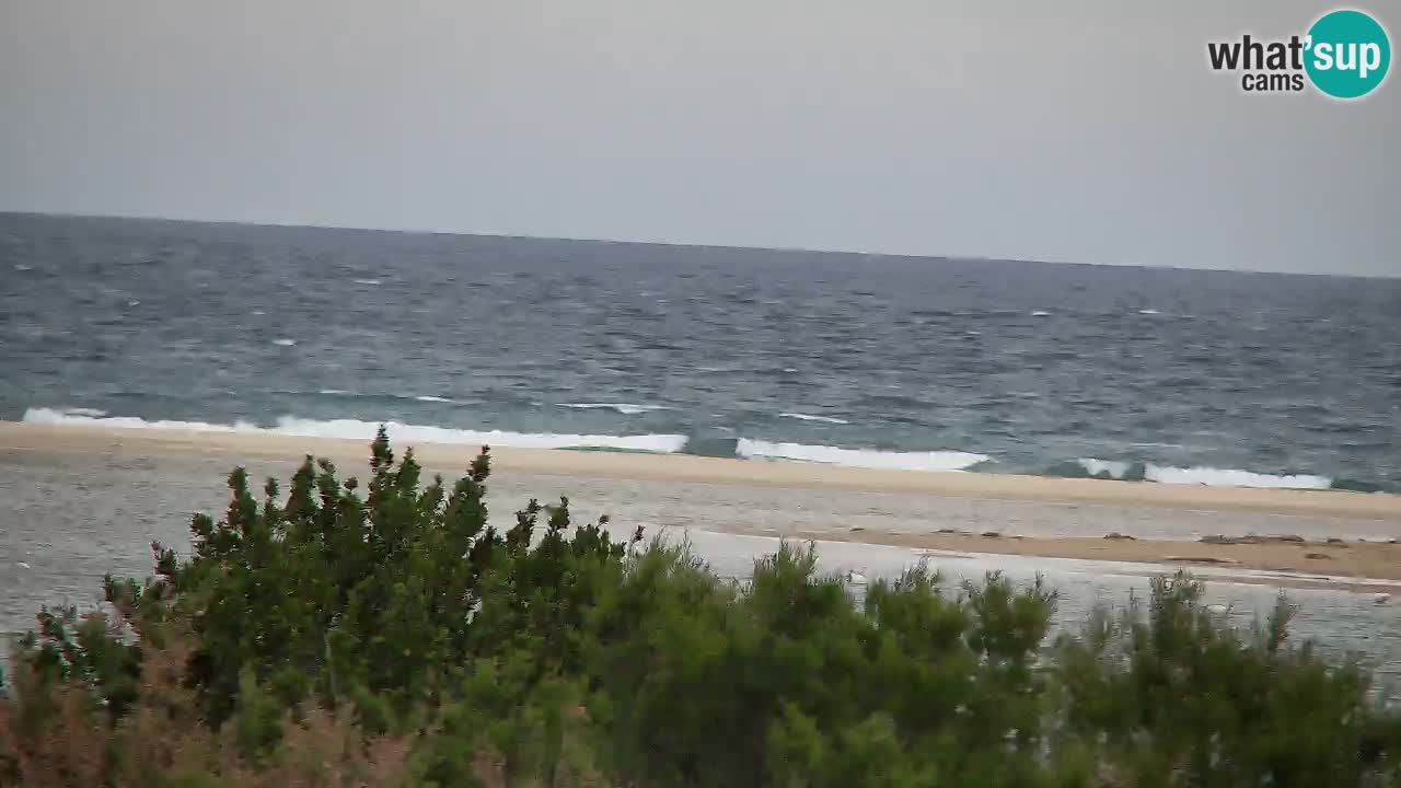 Webcam Chia – Liveblick auf den Strand Su Giudeu