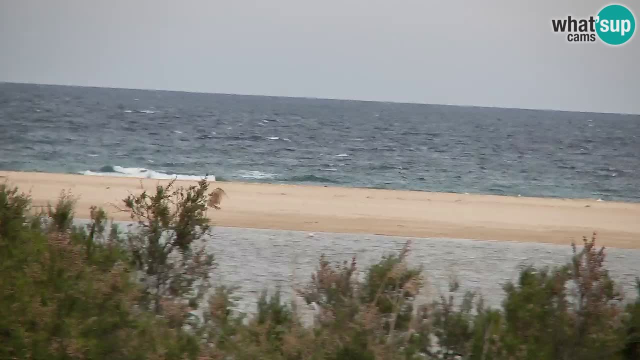 Webcam Chia – Live View of Su Giudeu Beach