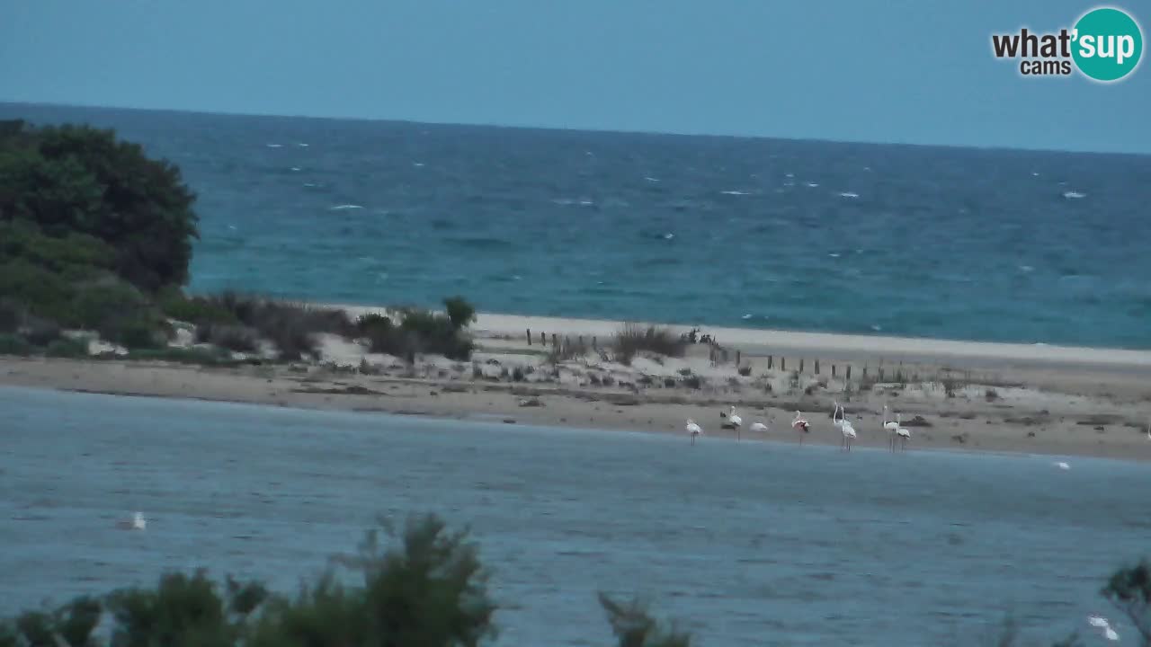 Webcam Chia – Live View of Su Giudeu Beach