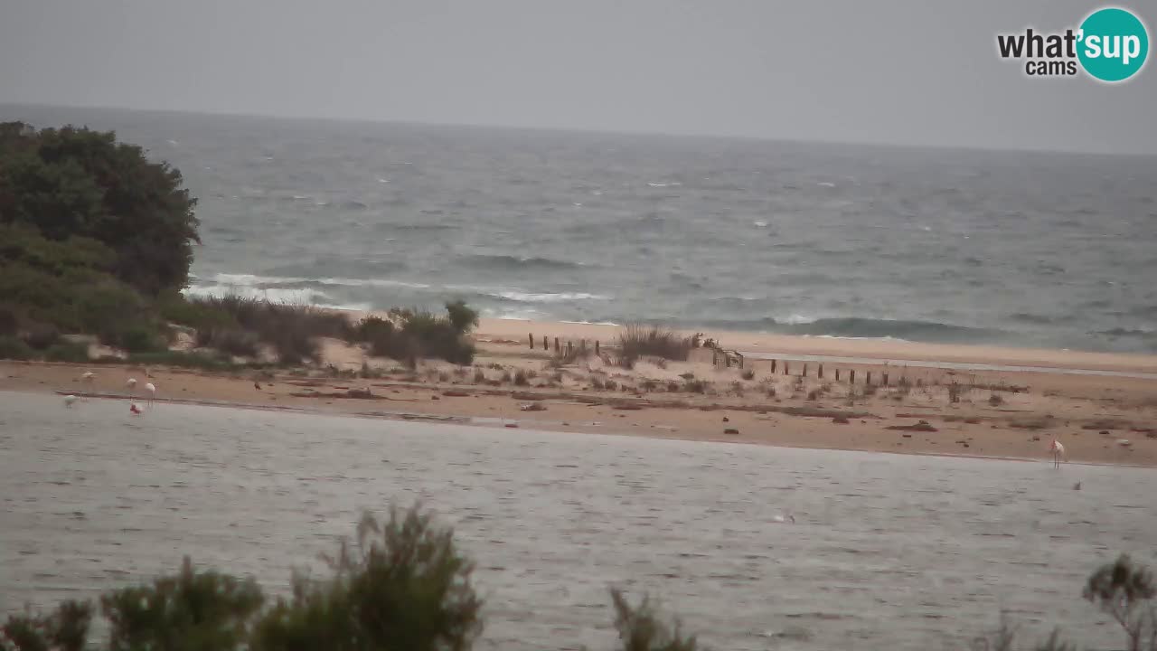 Spletna kamera Chia – Pogled v živo na plažo Su Giudeu