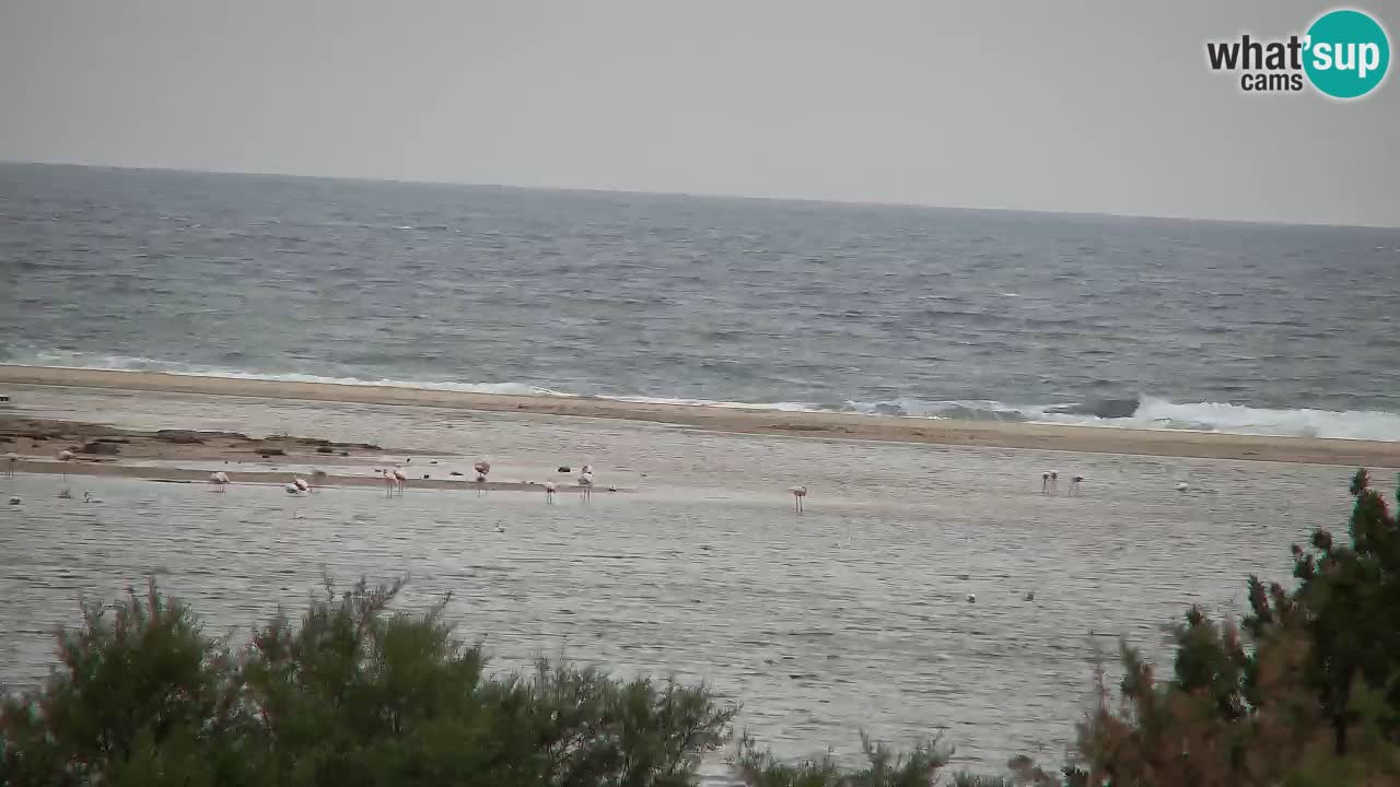 Webcam Chia – Live View of Su Giudeu Beach