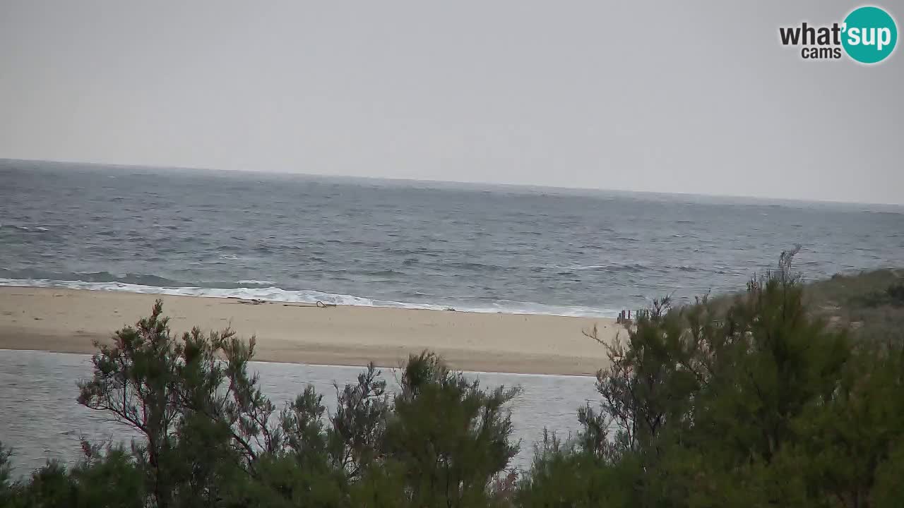 Webcam Chia – Vue en direct de la plage Su Giudeu