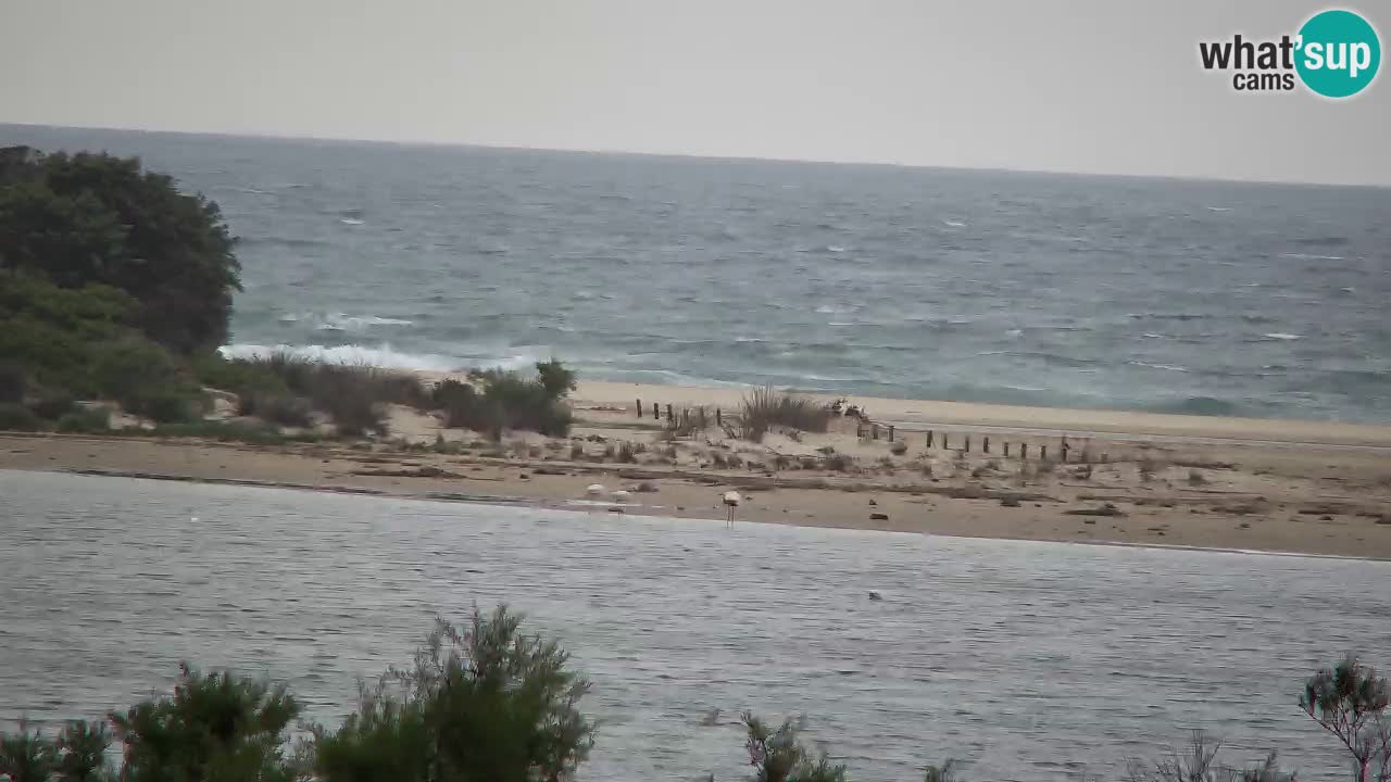 Webcam Chia – Liveblick auf den Strand Su Giudeu