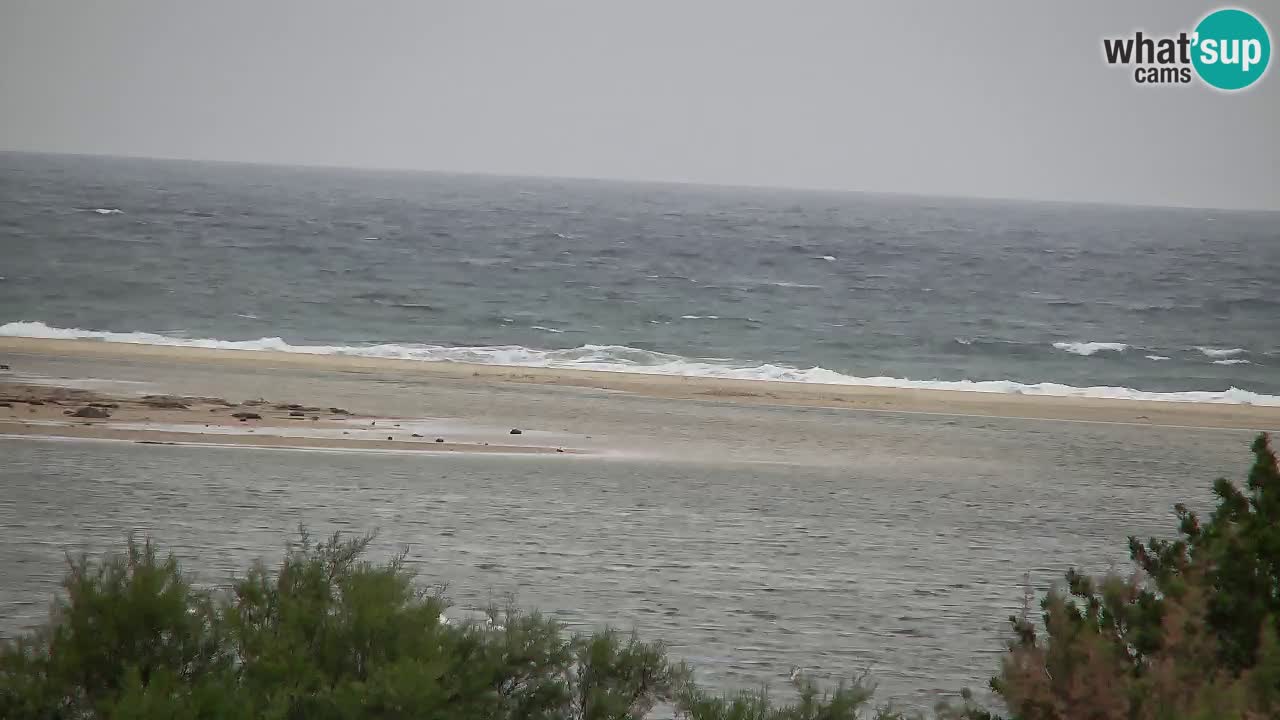 Webcam Chia – Vue en direct de la plage Su Giudeu