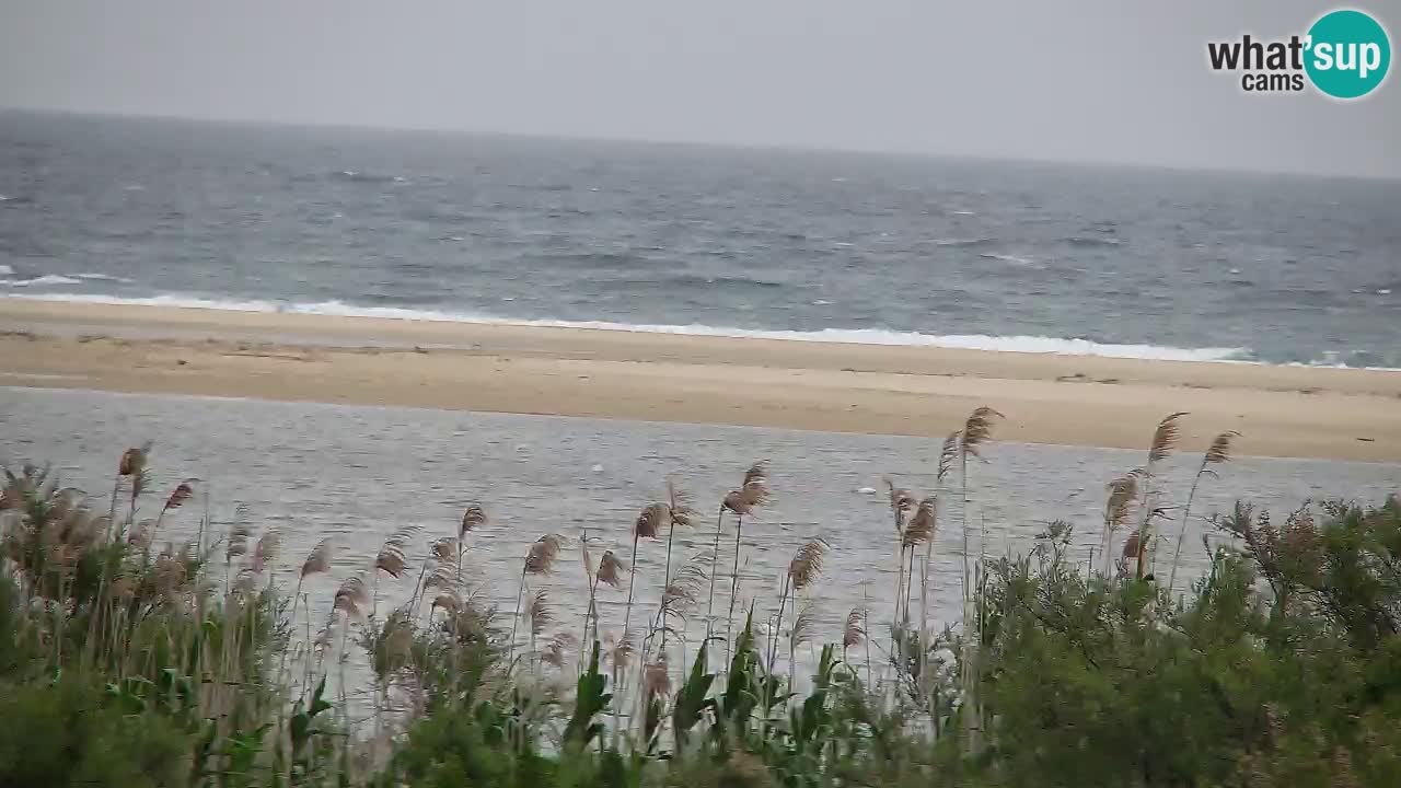 Webcam Chia – Live View of Su Giudeu Beach