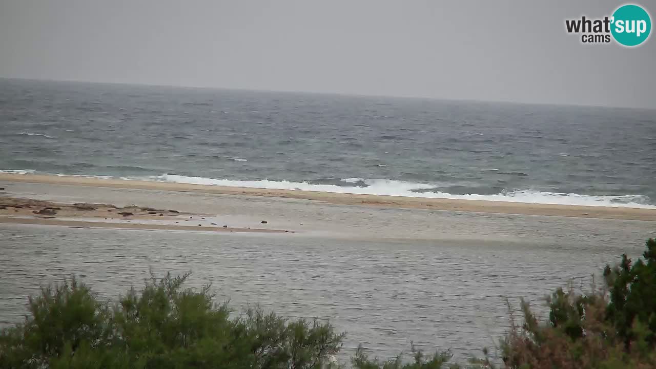 Webcam Chia – Vue en direct de la plage Su Giudeu