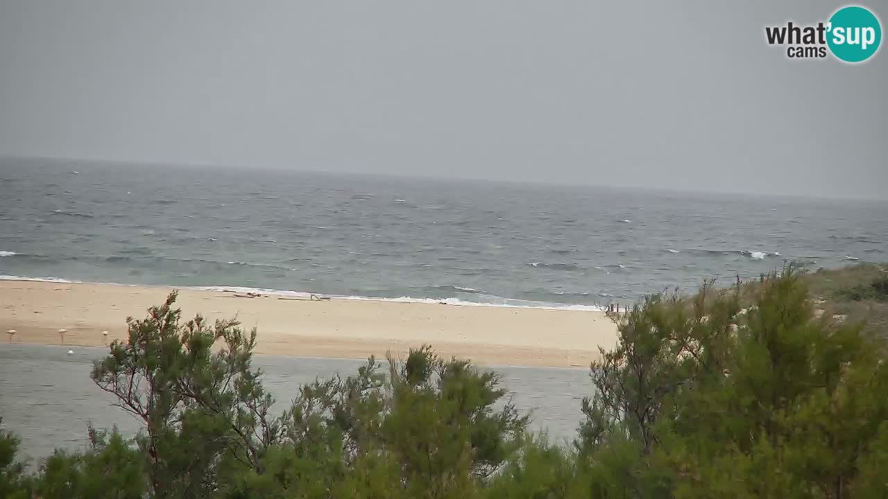 Webcam Chia – Live View of Su Giudeu Beach