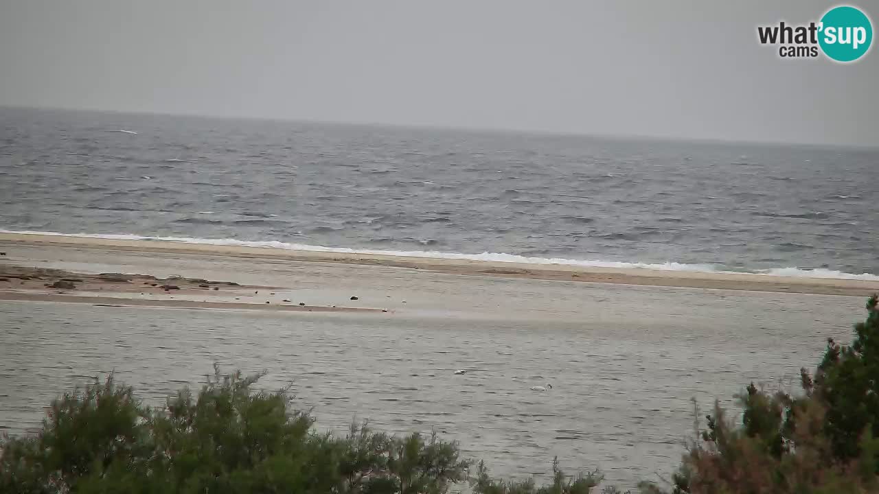 Webcam Chia – Live View of Su Giudeu Beach