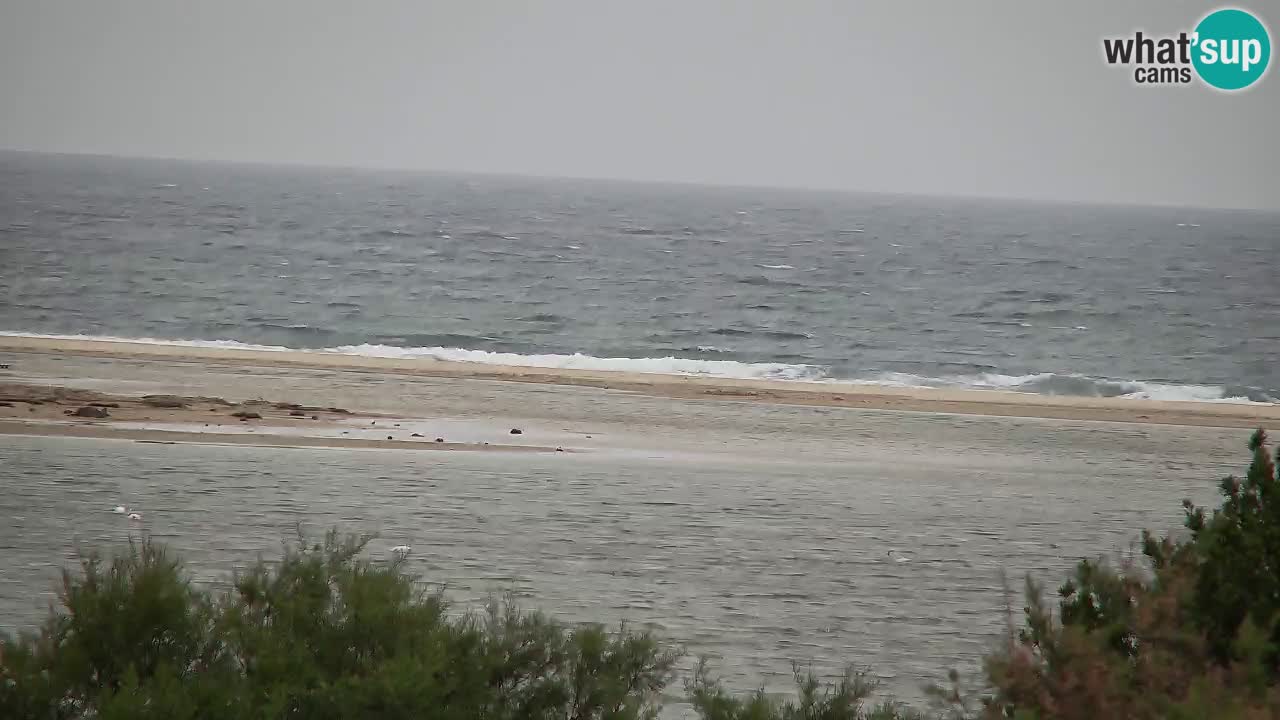 Webcam Chia – Spiaggia Su Giudeu in diretta