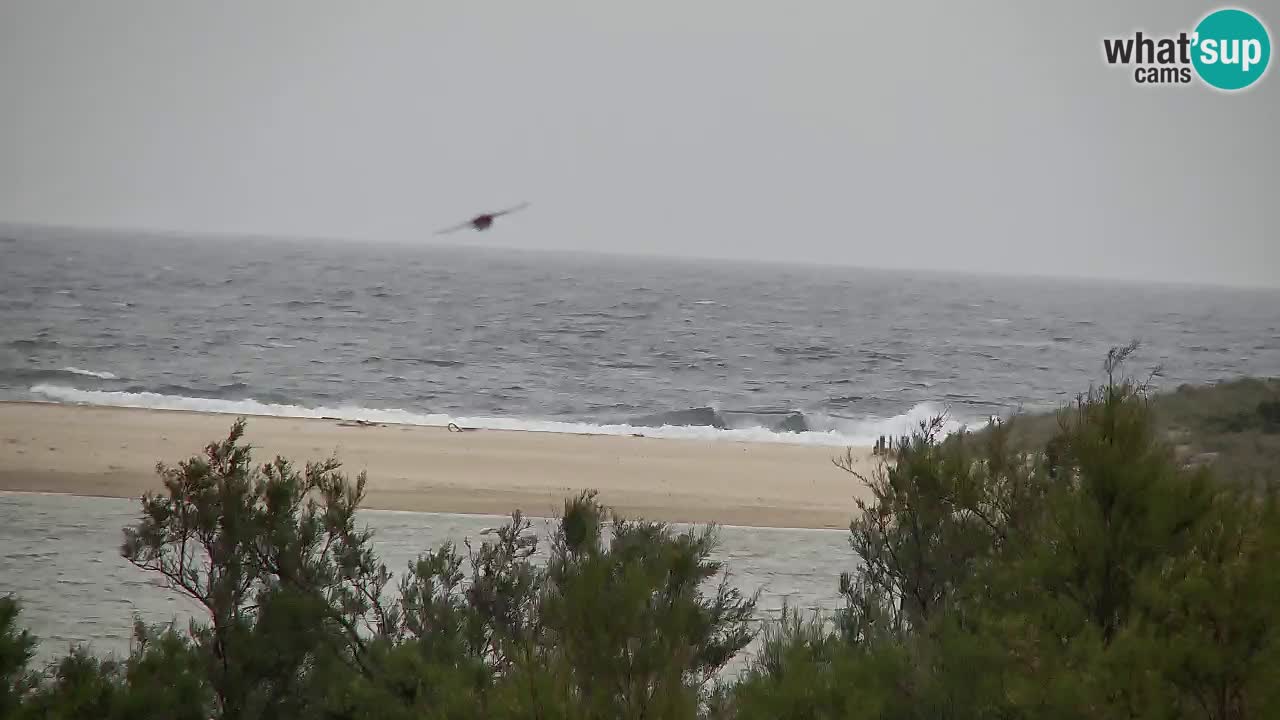 Webcam Chia – Live View of Su Giudeu Beach