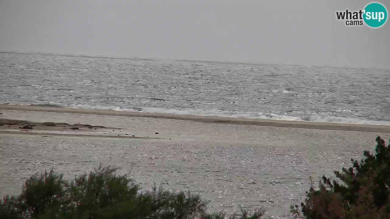 Webcam Chia – Live View of Su Giudeu Beach