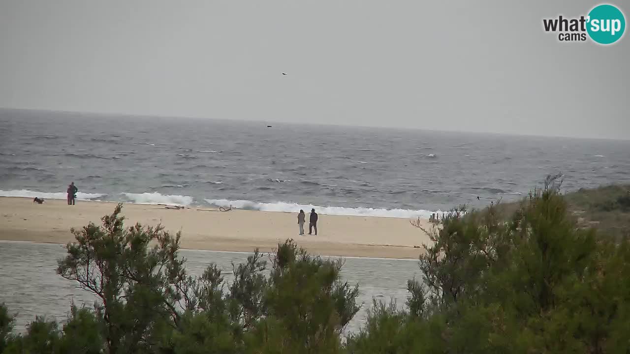 Webcam Chia – Live View of Su Giudeu Beach