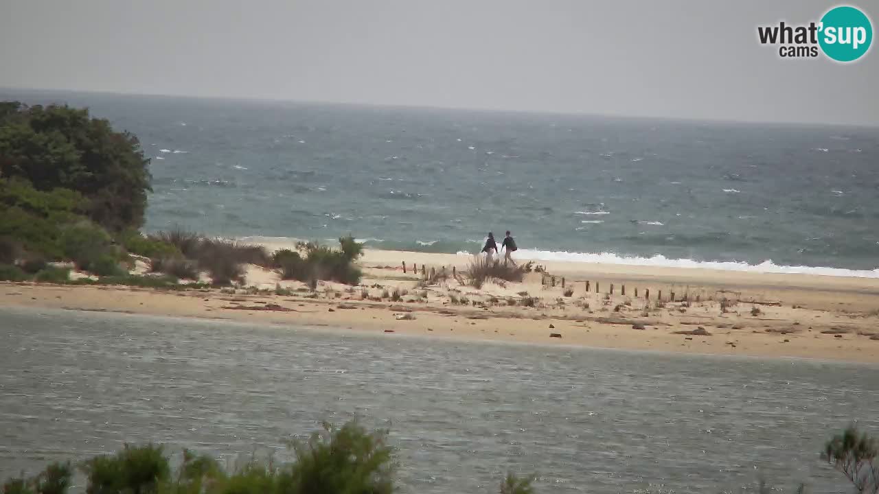 Webcam Chia – Live View of Su Giudeu Beach