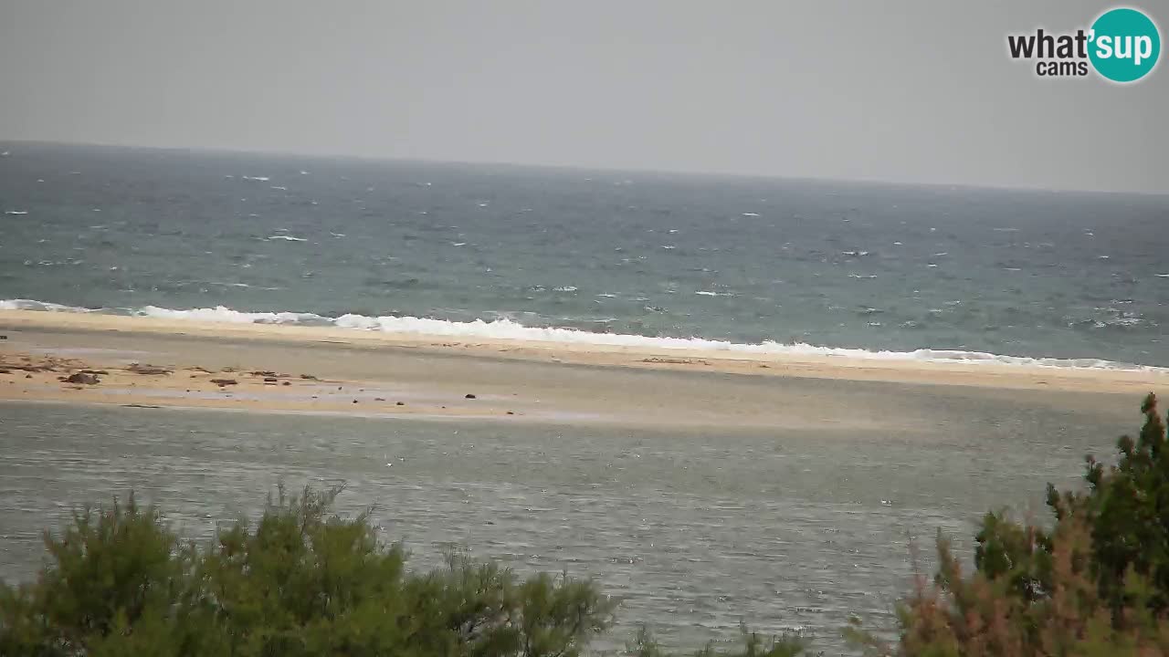 Webcam Chia – Live View of Su Giudeu Beach