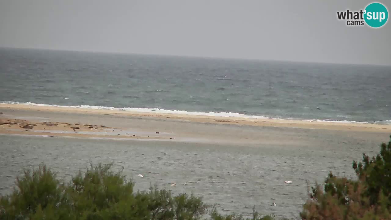 Webcam Chia – Live View of Su Giudeu Beach