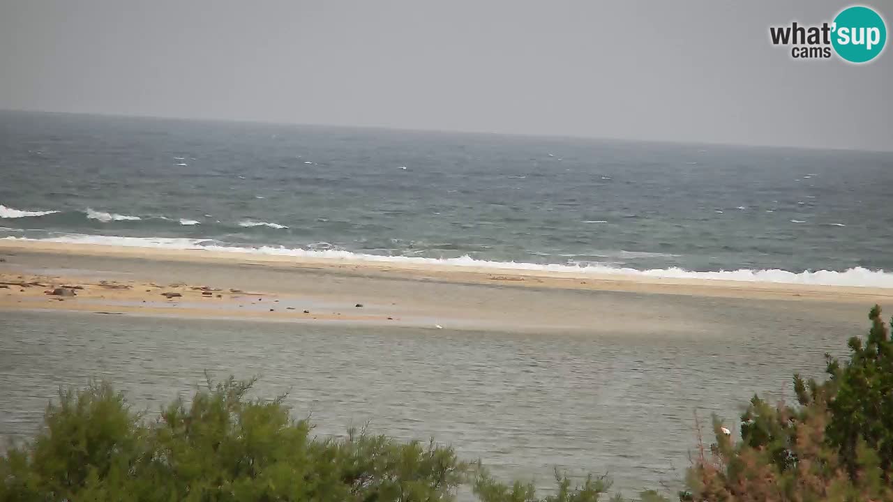 Webcam Chia – Live View of Su Giudeu Beach