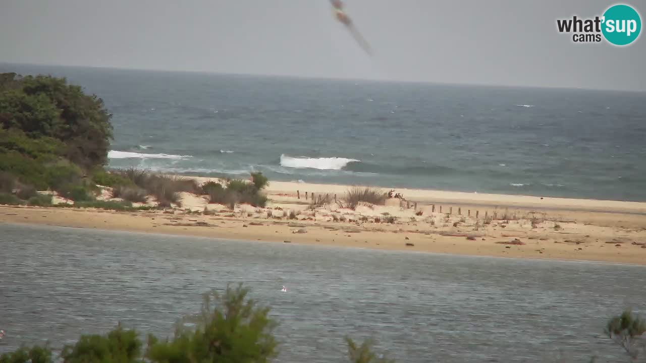 Webcam Chia – Spiaggia Su Giudeu in diretta
