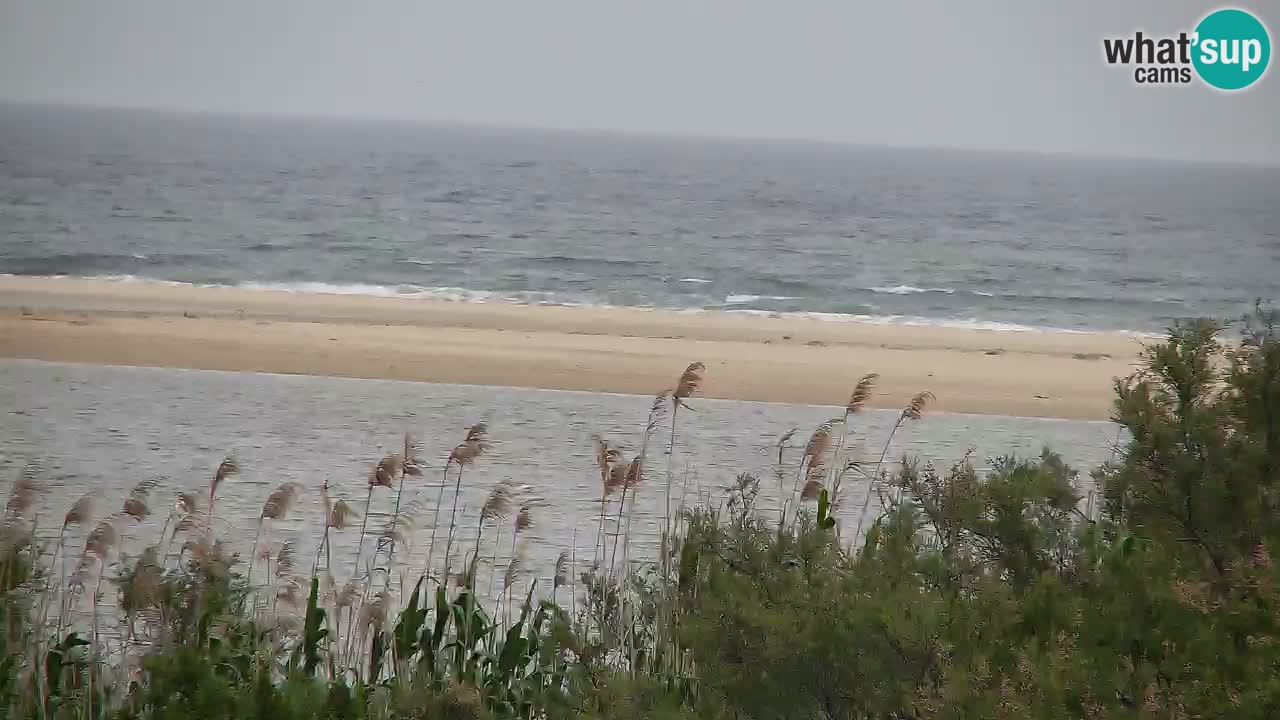 Webcam Chia – Vista en directo de la playa Su Giudeu
