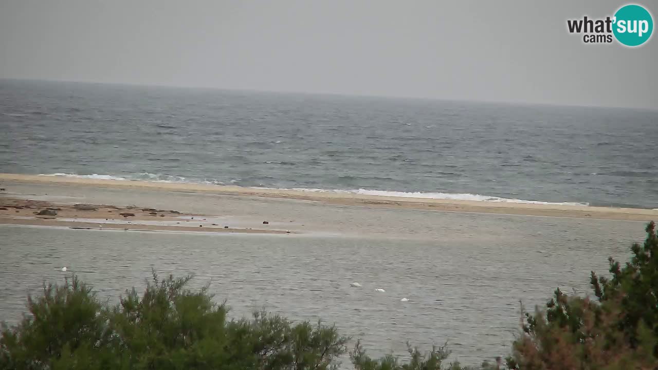Webcam Chia – Live View of Su Giudeu Beach