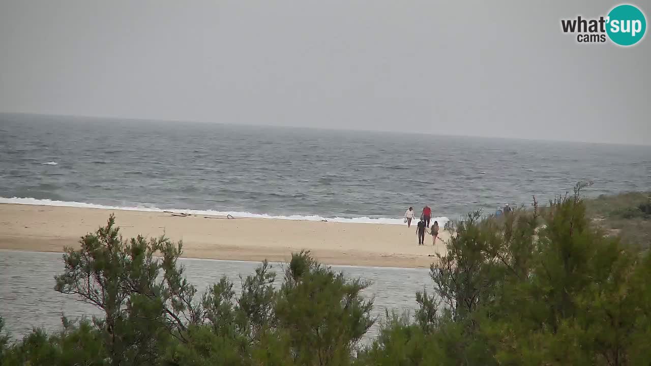 Webcam Chia – Live View of Su Giudeu Beach