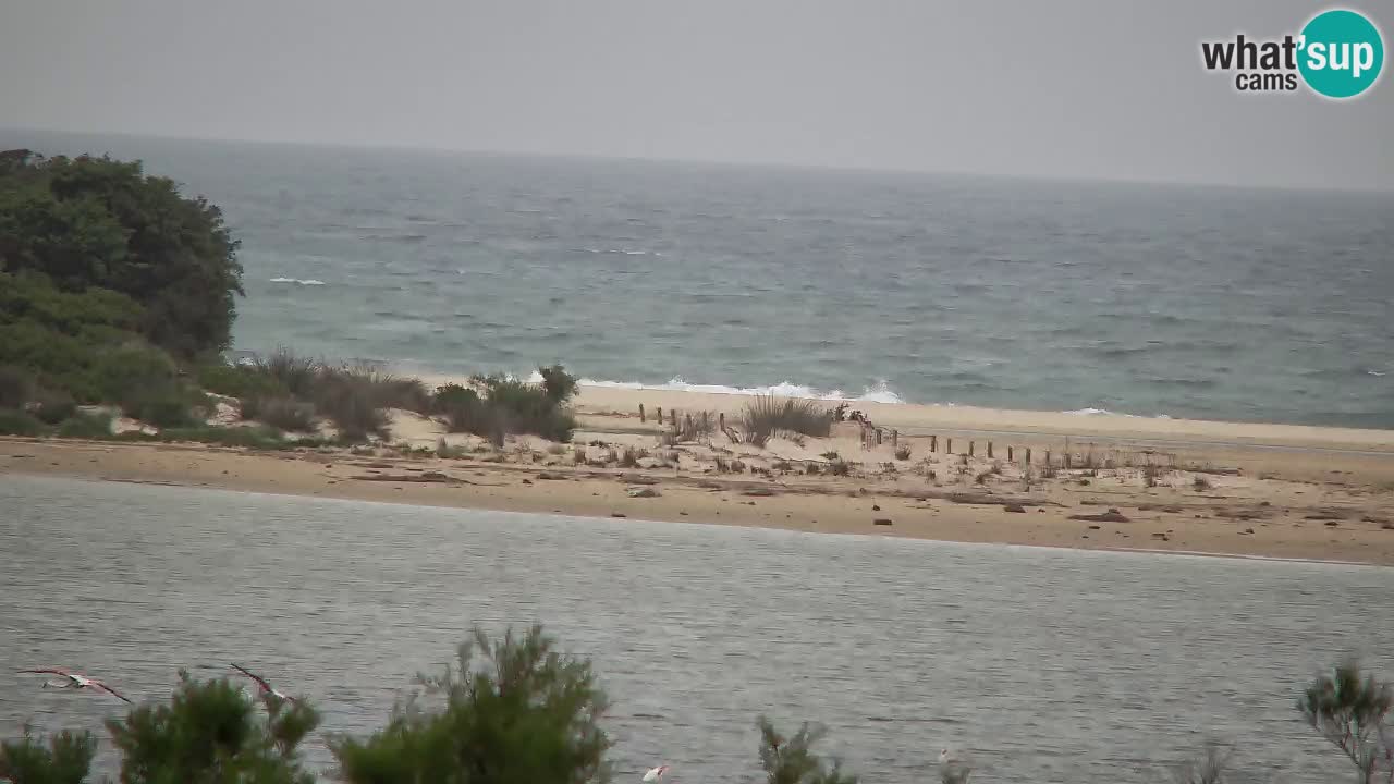 Webcam Chia – Live View of Su Giudeu Beach