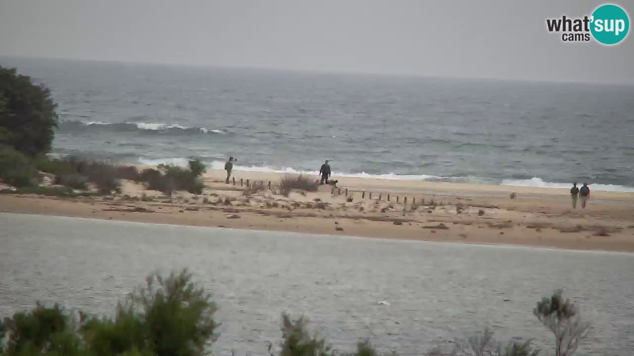 Webcam Chia – Live View of Su Giudeu Beach