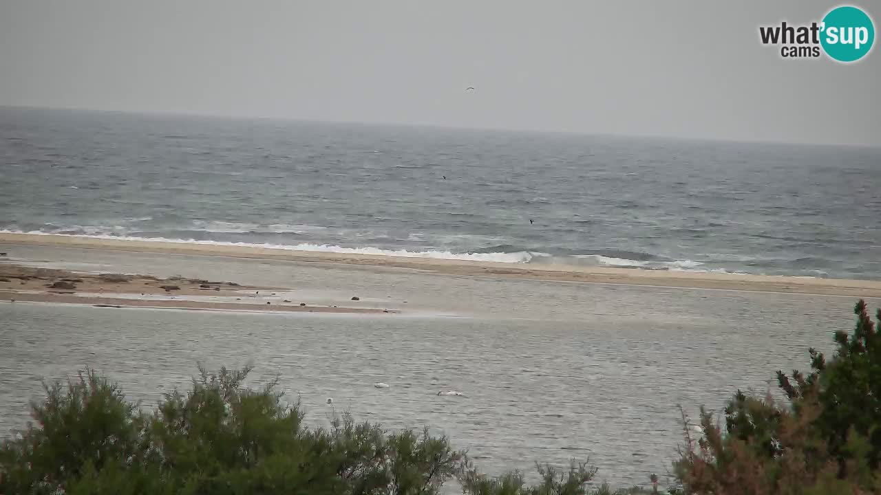 Webcam Chia – Live View of Su Giudeu Beach