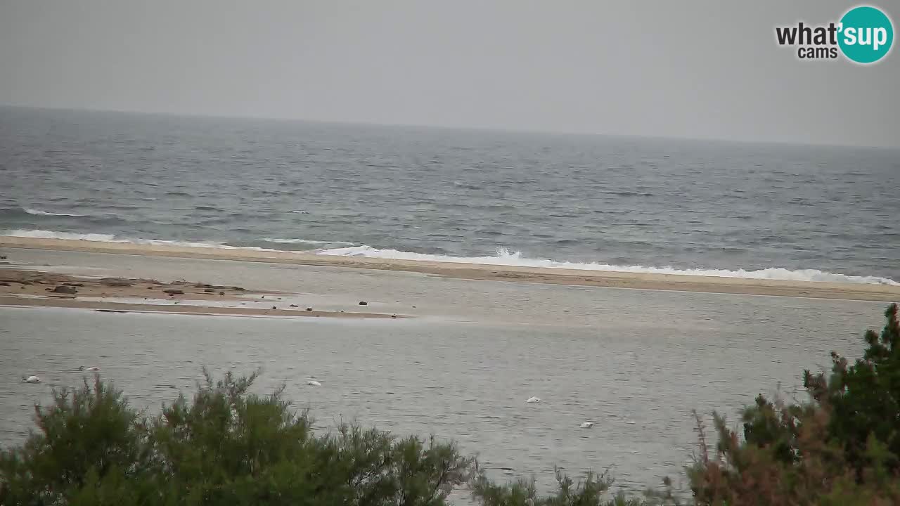 Webcam Chia – Liveblick auf den Strand Su Giudeu