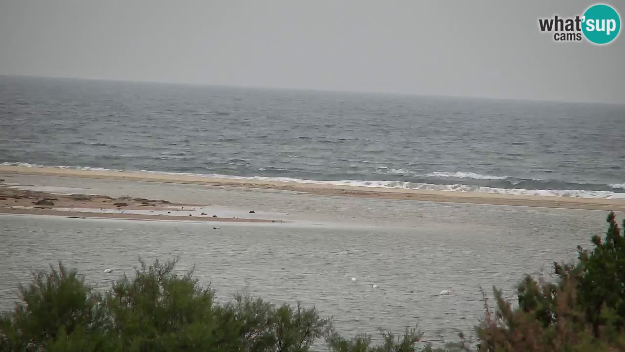 Webcam Chia – Live View of Su Giudeu Beach