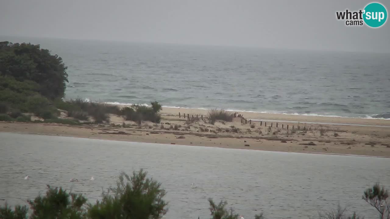 Webcam Chia – Live View of Su Giudeu Beach