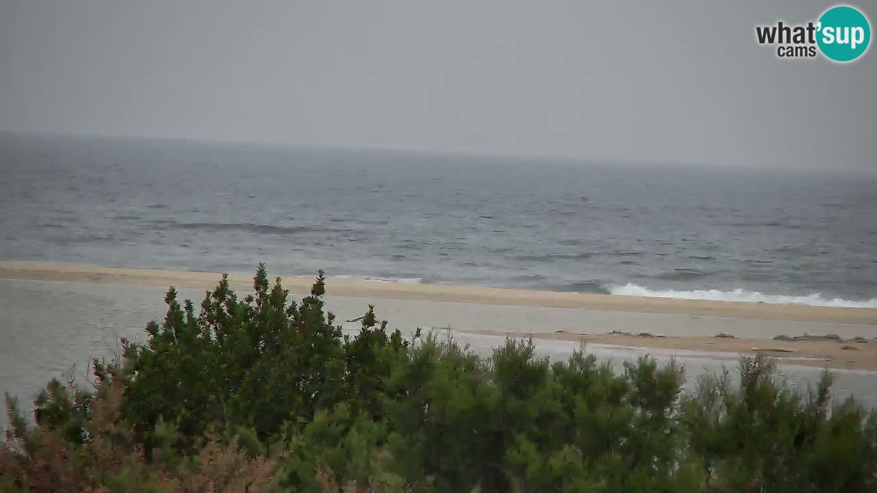 Webcam Chia – Live View of Su Giudeu Beach