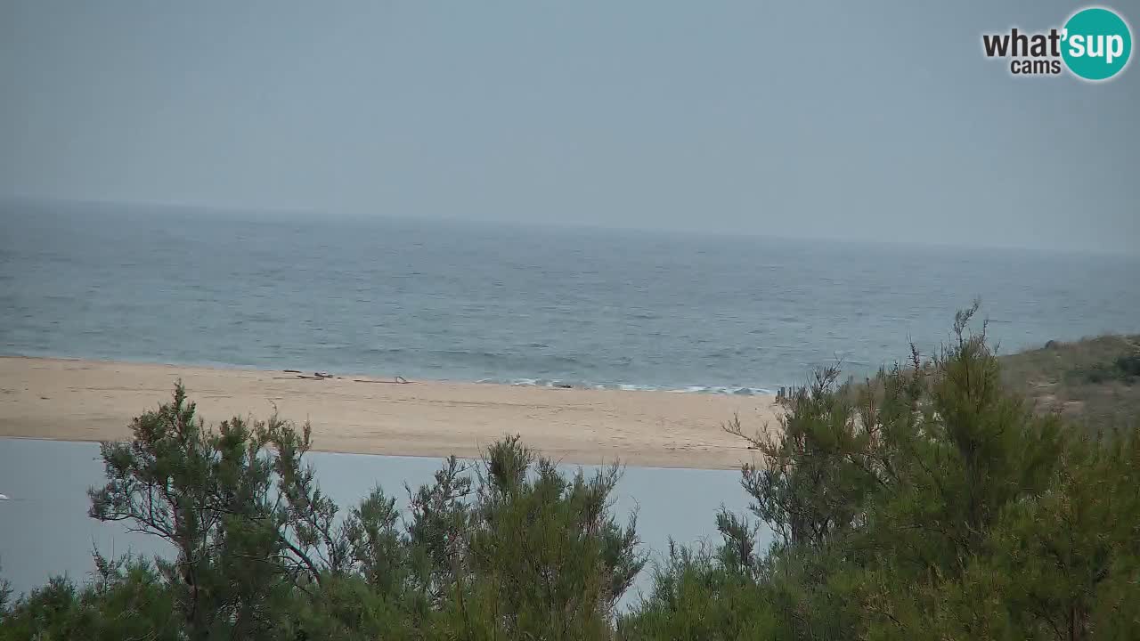 Webcam Chia – Live View of Su Giudeu Beach