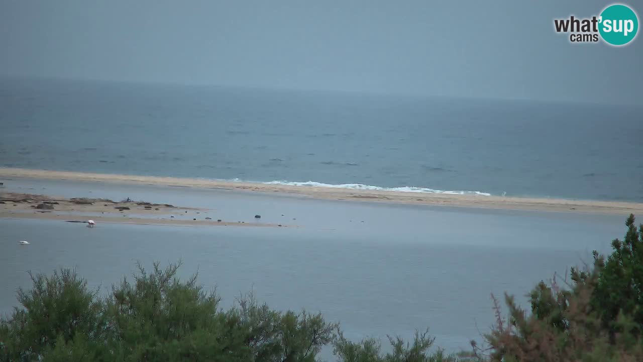 Webcam Chia – Live View of Su Giudeu Beach