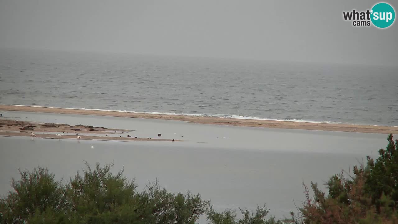 Webcam Chia – Live View of Su Giudeu Beach