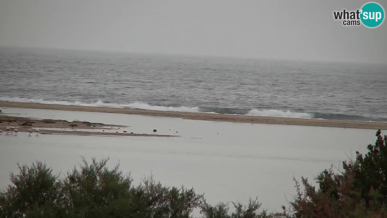 Webcam Chia – Vue en direct de la plage Su Giudeu