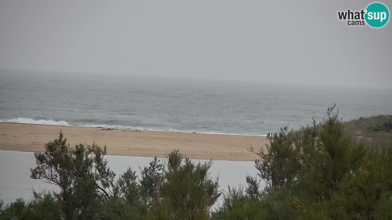 Webcam Chia – Vue en direct de la plage Su Giudeu