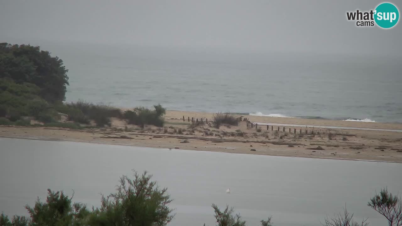 Webcam Chia – Vue en direct de la plage Su Giudeu