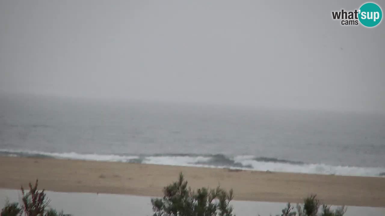 Webcam Chia – Live View of Su Giudeu Beach