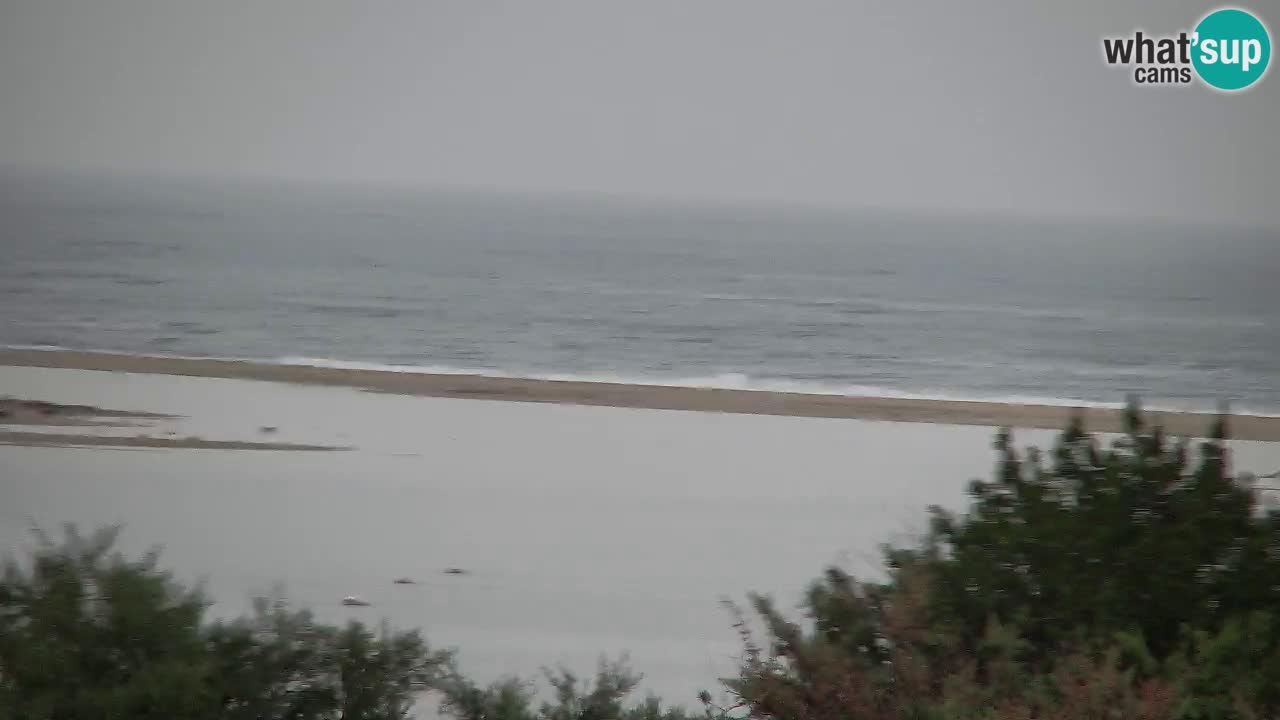 Webcam Chia – Live View of Su Giudeu Beach
