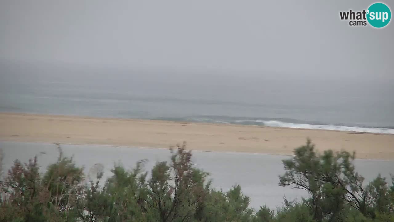 Webcam Chia – Live View of Su Giudeu Beach